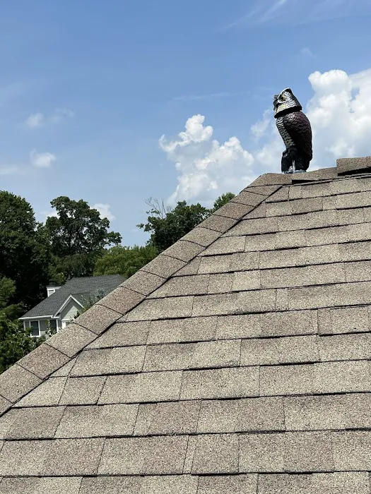 Elite Roof Services Picture 2