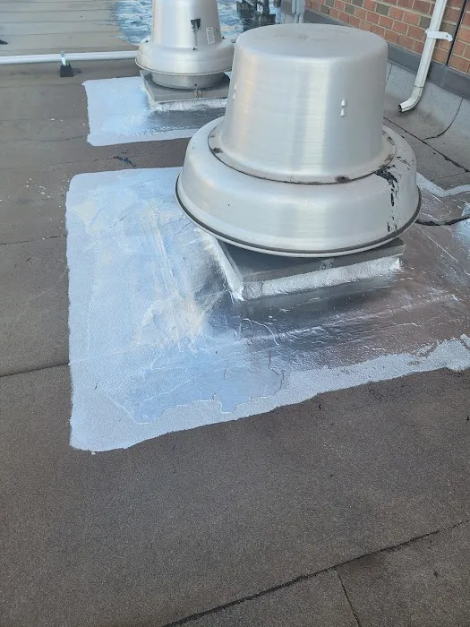 Active Roofing Repairs Picture 1