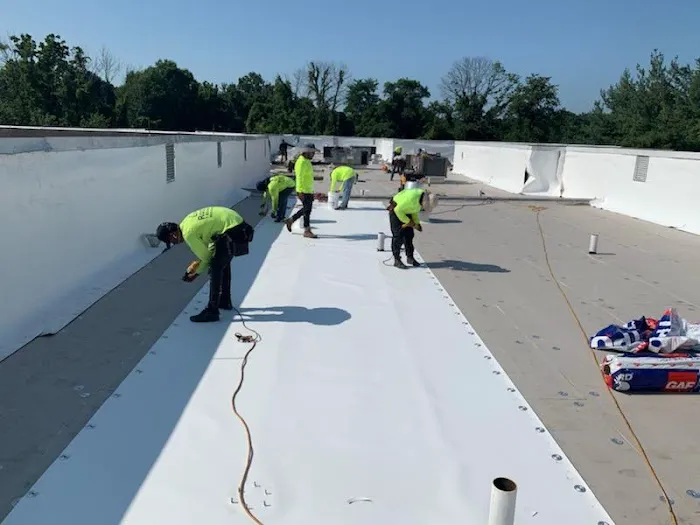 Industrial roofing Picture 2