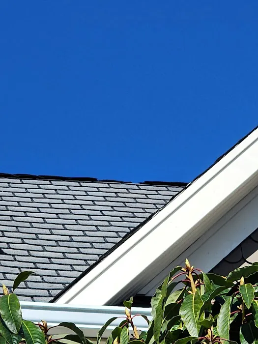 Argyle Roofing Picture 8