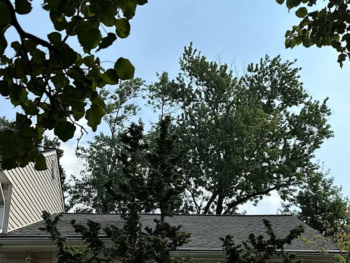 HighView Roofing & Construction Picture 7