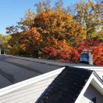Botani Exteriors
