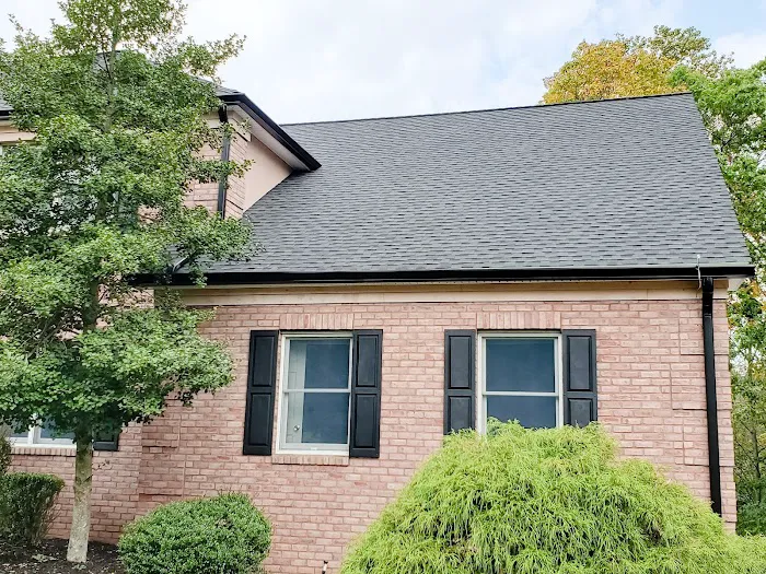 Alte Roofing Picture 3