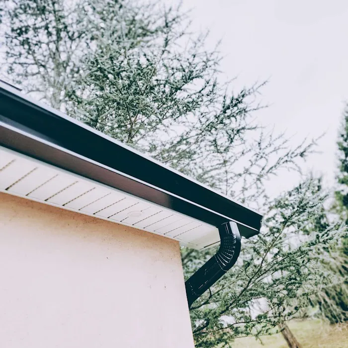 Alte Roofing Picture 9