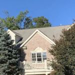 Leomar Roofing
