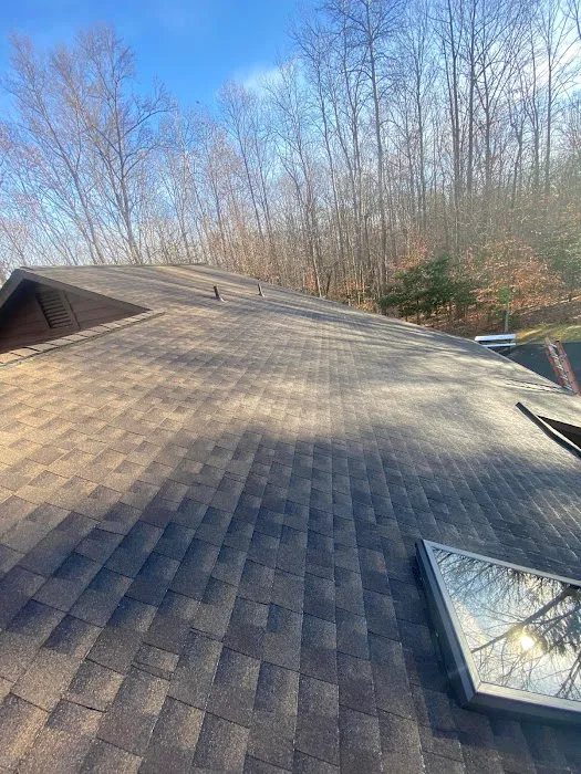 Sky Roofing Picture 5