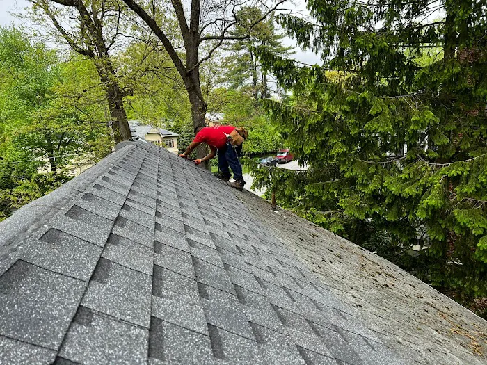 Diamond Roofing Picture 2