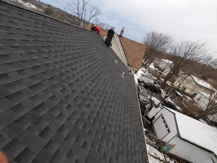 New Look Roofing Picture 7