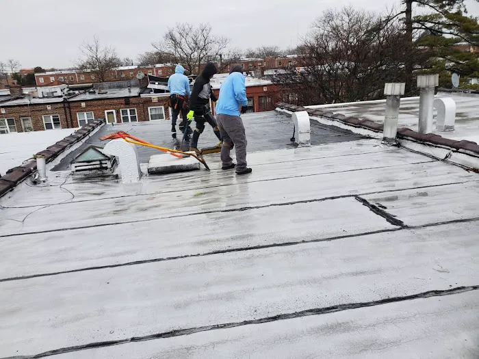 New Look Roofing Picture 9