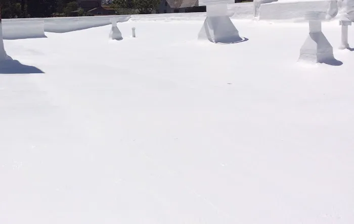 Pro-Seal Roof Coatings Picture 2