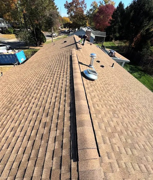 Right Service Skylight Repair and Roof Repair Picture 10