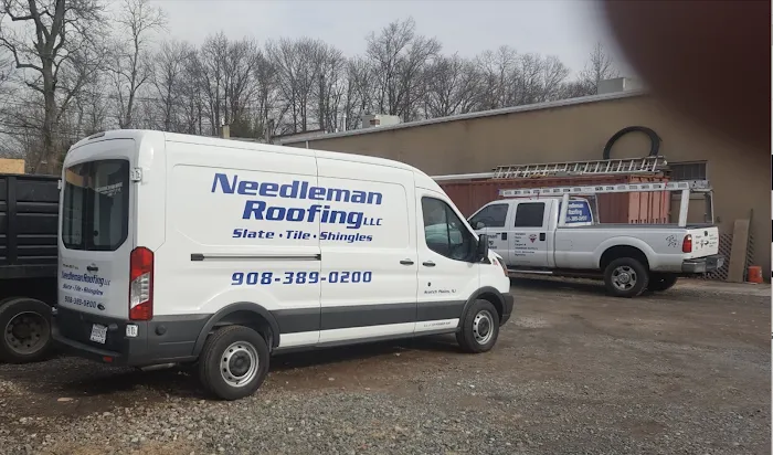 Needleman Roofing Picture 7
