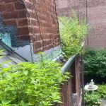 Hilltop Commercial Roofing