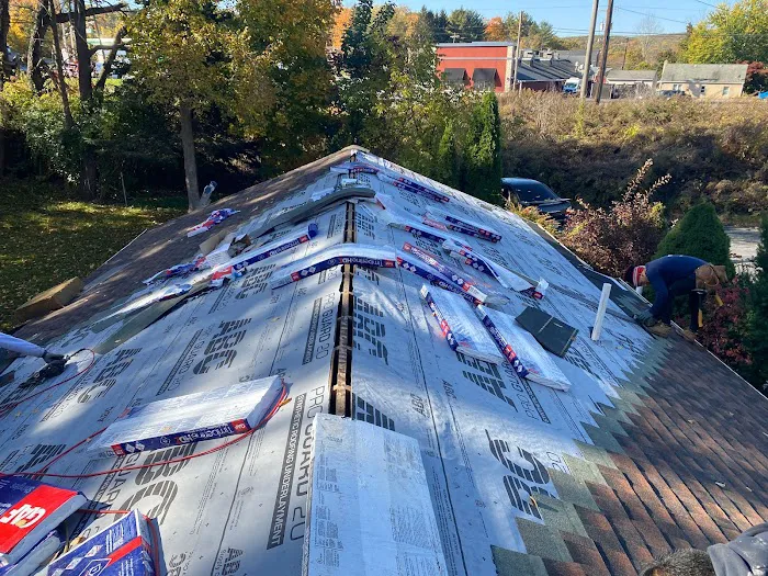 Simple Roofing Picture 8
