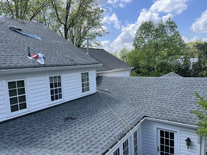 Royale Roofing & Chimney Picture 4