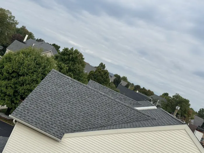IDEAL ROOFING AND CHIMNEYS Picture 3