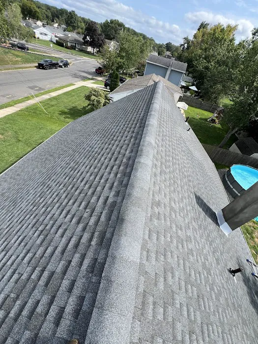 7 Days Roofing Picture 2