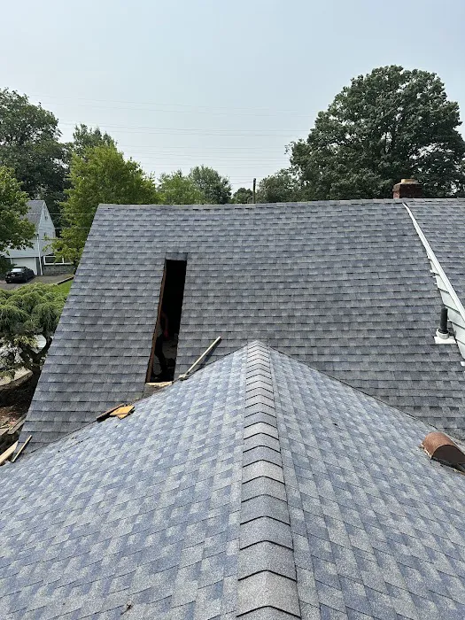 7 Days Roofing Picture 5