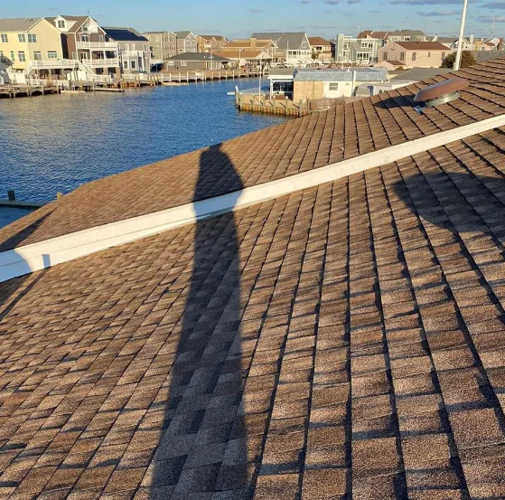 Apple Roofing Picture 3