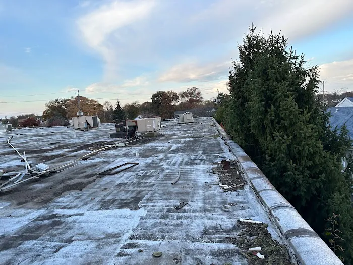 Roof Eval Picture 3