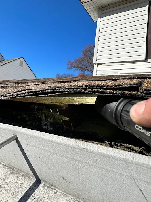 Roof Eval Picture 6