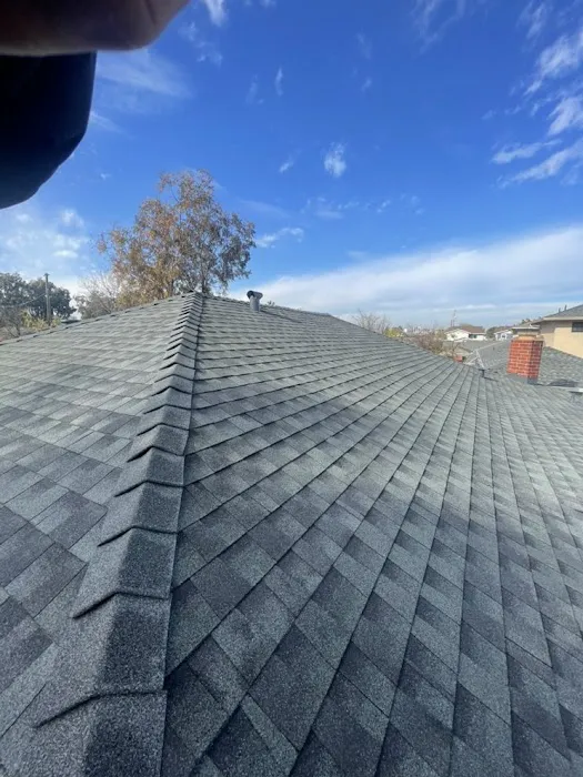 Emmett Roof Repair Picture 2
