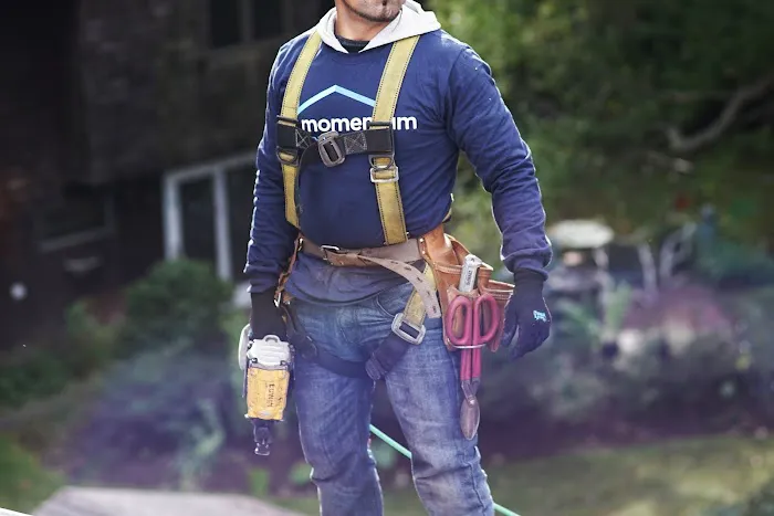 Momentum Home Picture 2