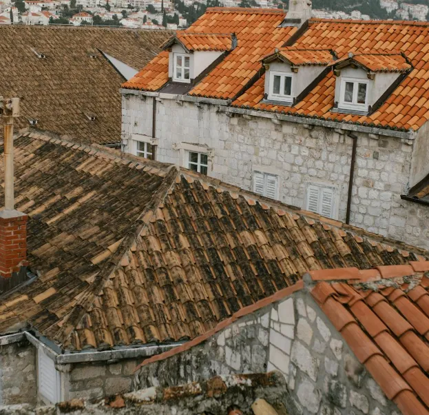 Ortega & Sons Roof Repair Picture 1