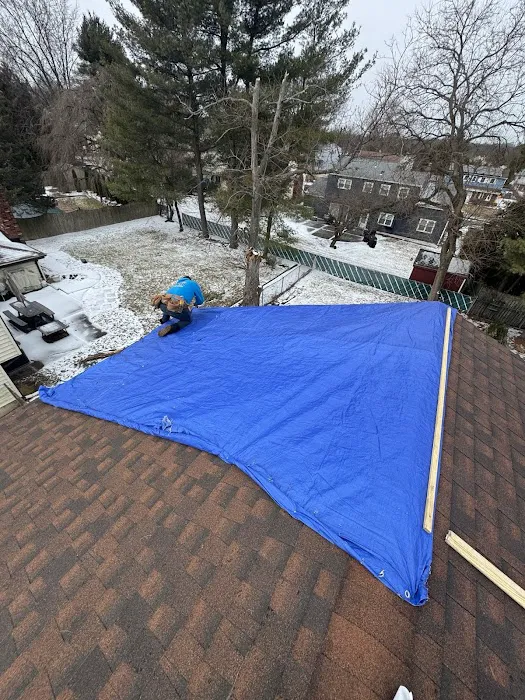 Roof Shark Picture 4