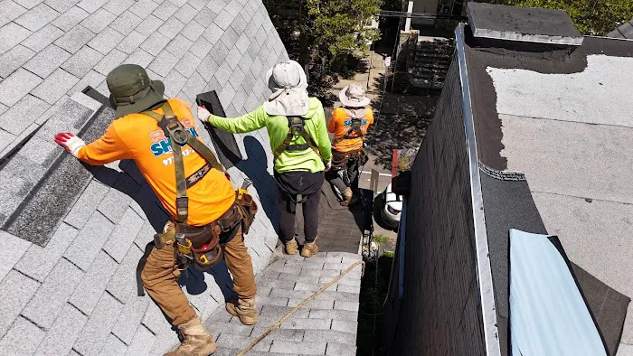 Roof Shark Picture 5