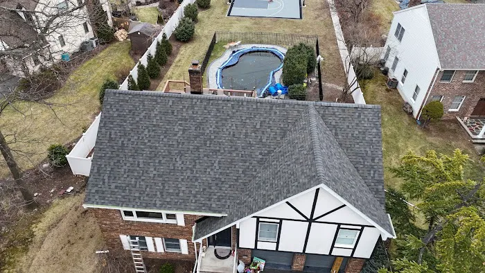 Roof Shark Picture 7