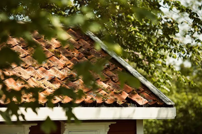 Elmwood Roofing Installation & Repair Picture 3