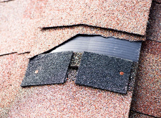 Dream Home Roofers Picture 5