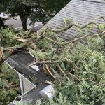 Alf's Roofing Inc