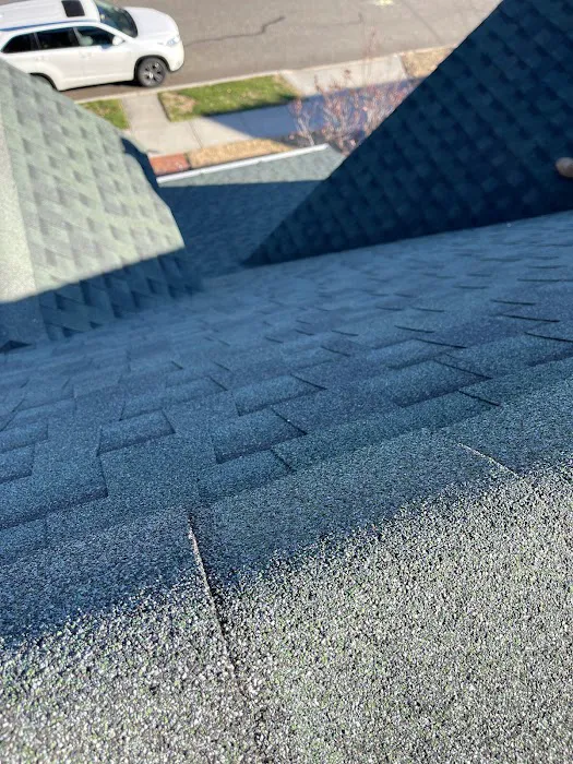 Empire Gen Roofing and Chimney Picture 6
