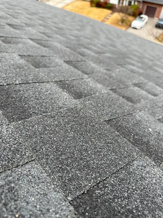 Empire Gen Roofing and Chimney Picture 5