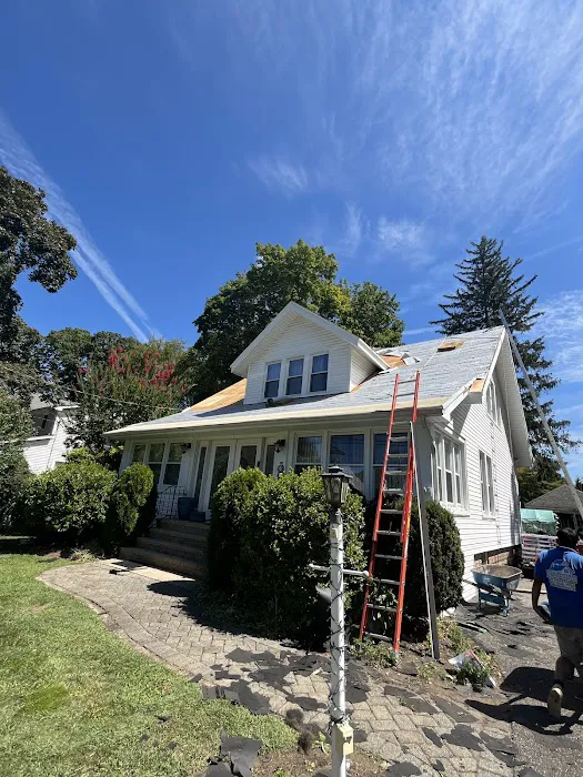 Doda Brothers Roofing and Chimney Picture 5