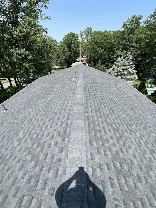 Doda Brothers Roofing and Chimney Picture 3