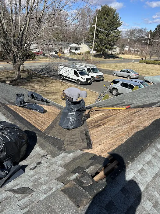 Doda Brothers Roofing and Chimney Picture 7