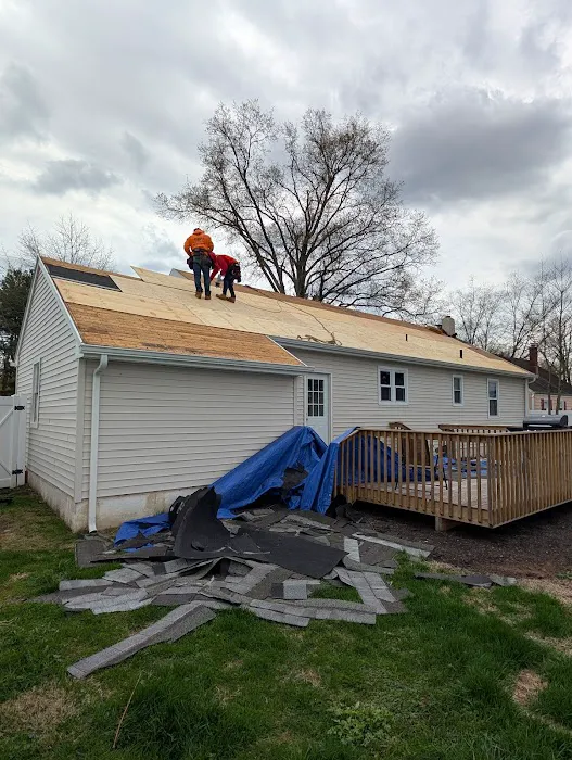 Lifetime Construction LLC Picture 3