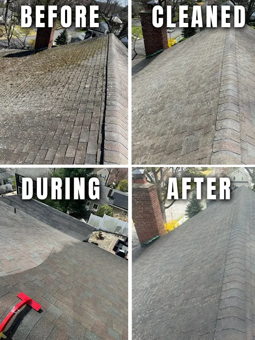 Roof Rescue Southern Westchester LLC Picture 1