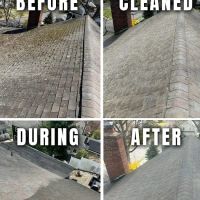 Roof Rescue Southern Westchester LLC ico