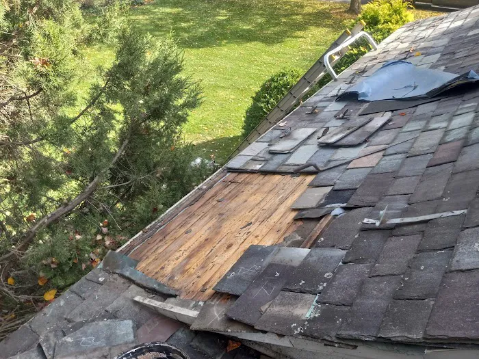 JCX Slate & Metal Roofing Picture 4