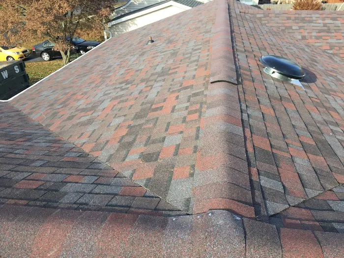 DBL Roofing Picture 1