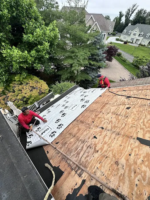 Elite Waterproofing & Roofing Picture 5