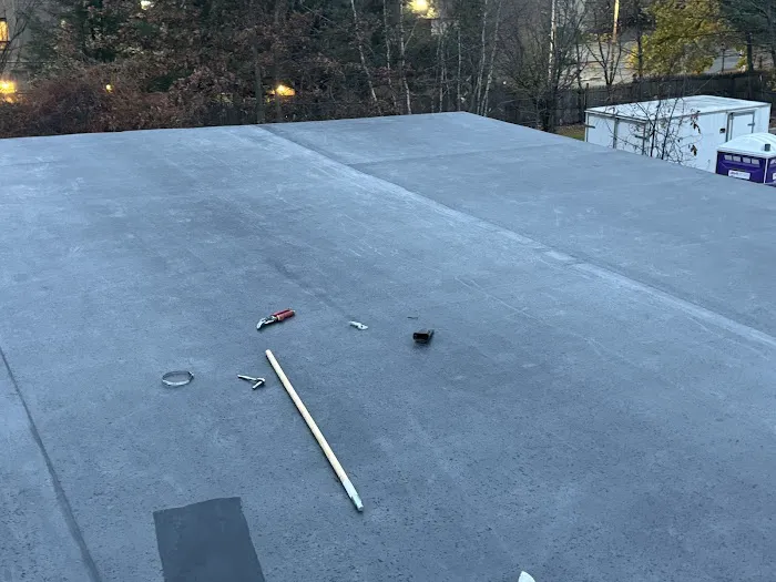 Roofs Etc. Picture 2