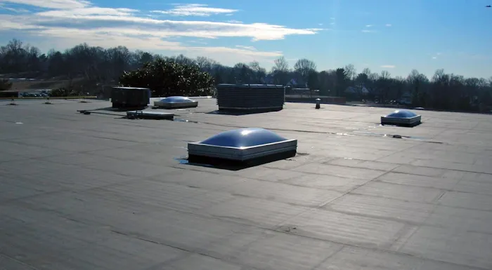Roofs Etc. Picture 4