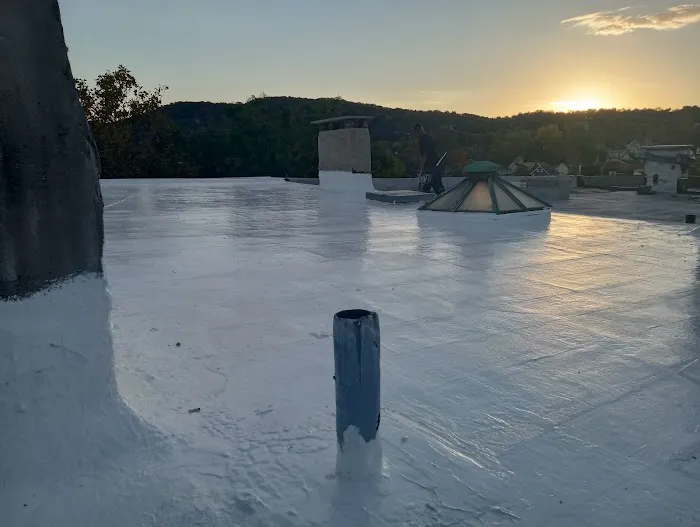 silicone roofing specialists Picture 8