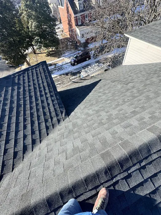 A1 Top Quality Roofing Picture 2