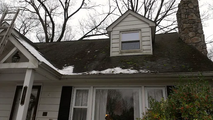 Jersey Roof Cleaners - Guaranteed Roof Stain Removal. Picture 3